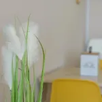 El Duque Beach-luxury Apartament- Apartment Costa Adeje (Tenerife)